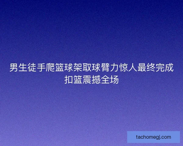 男生徒手爬篮球架取球臂力惊人最终完成扣篮震撼全场 男生徒手爬篮球架取球臂力惊人最终完成扣篮震撼全场