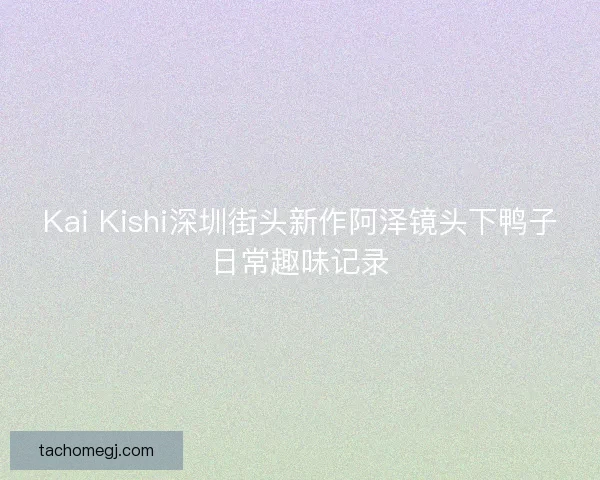 Kai Kishi深圳街头新作阿泽镜头下鸭子日常趣味记录