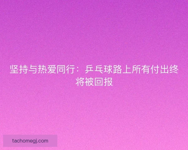 坚持与热爱同行：乒乓球路上所有付出终将被回报
